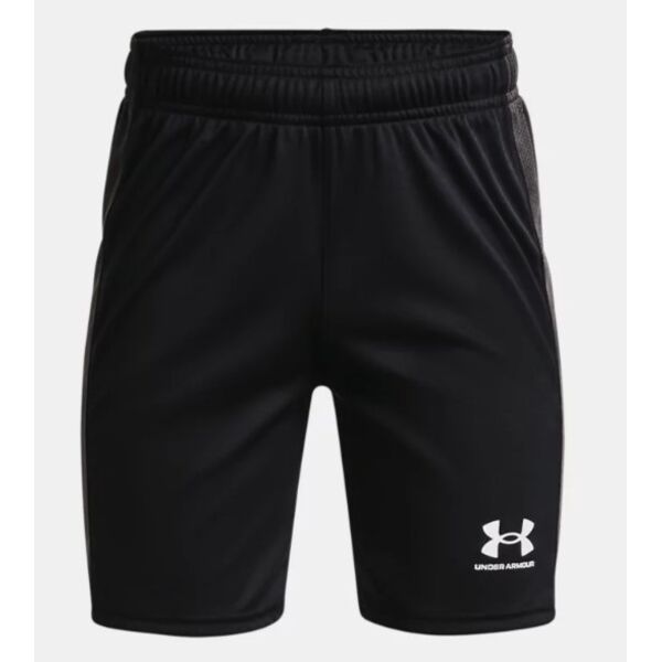 Youth UA Challenger Knit Shorts Thumbnail