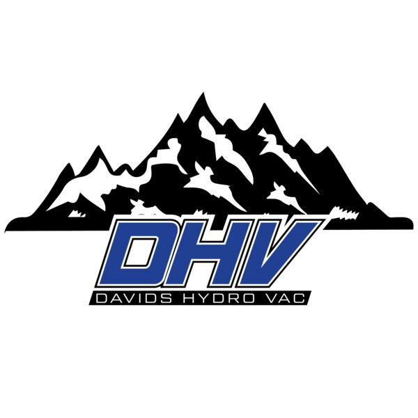 DavidsHydro LogoEstB 11 12072020 Thumbnail