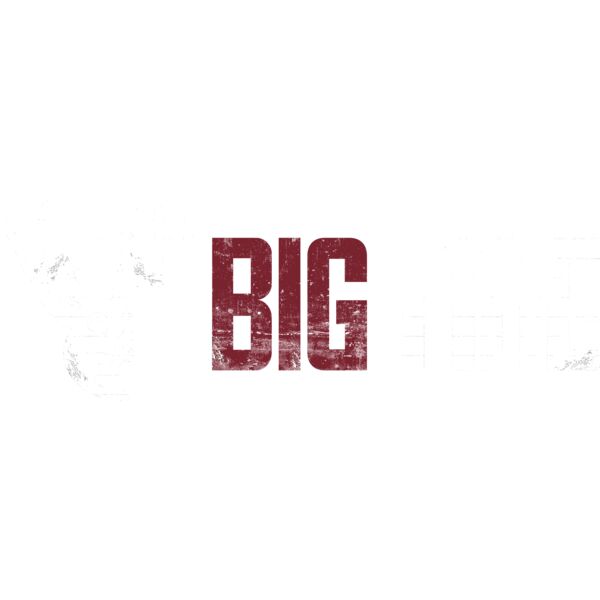 BIGTINE_HorizontalLogoDistressed_12_21221.png Thumbnail