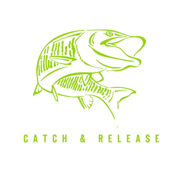 TackleBox_RS102_11.5_030421 Thumbnail