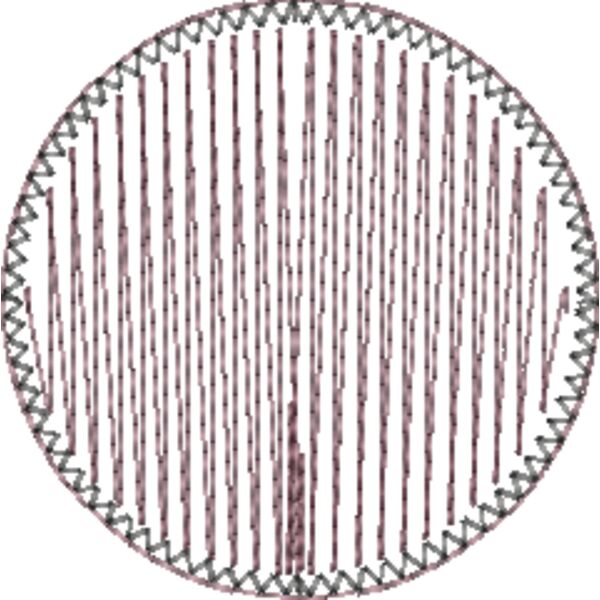 Anderson's RSP13_Patch_2.50_031921.EMB Thumbnail