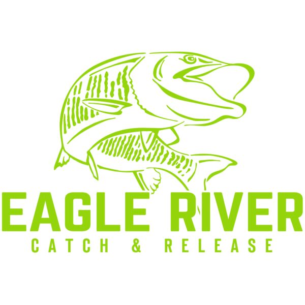 FountainBlu_RS102_11.5_032321 Thumbnail