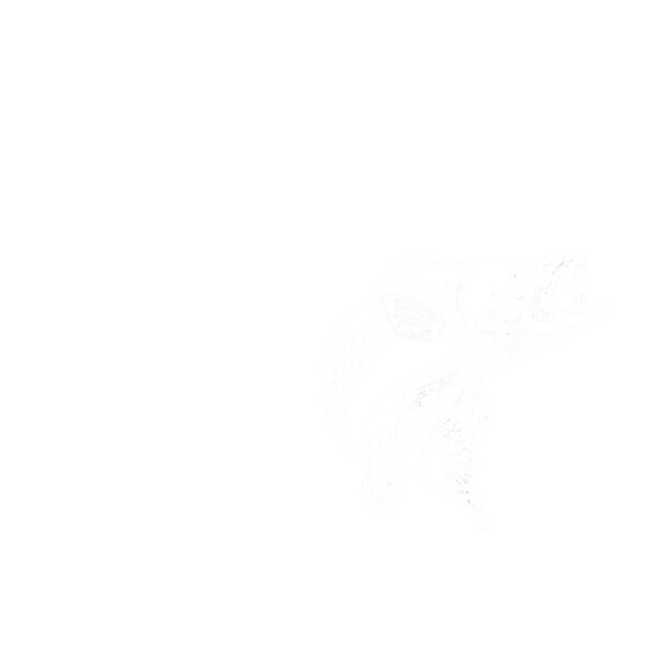 ClearwaterTravel_RS187_8_33021.png Thumbnail