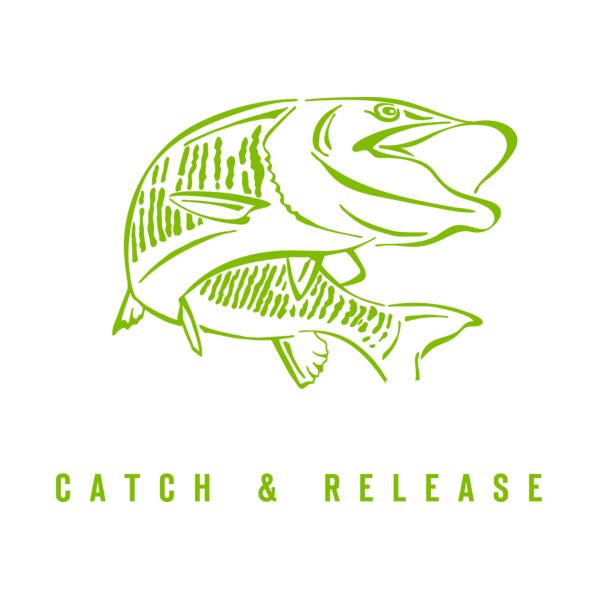 NorthernHighlandSports_RS102_11.3_042321 Thumbnail