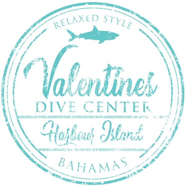 Valentines_CircleDistressedAquaB_11_61021.png Thumbnail