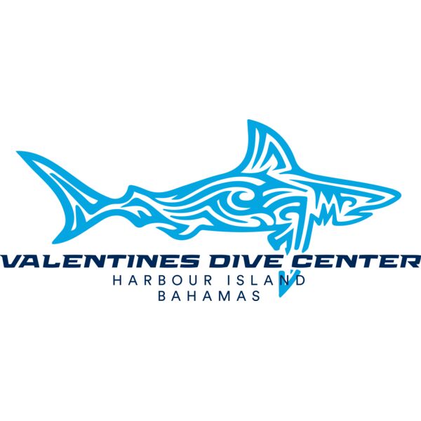 Valentine’sDiveCenter_Back_Shark_11_060721 Thumbnail