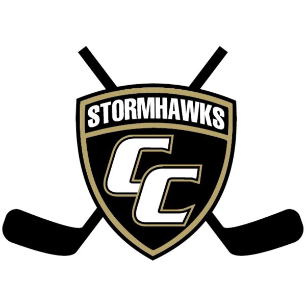 ChaskaStormhawks_ShieldHockeySticksSmallF_3_7921.png Thumbnail