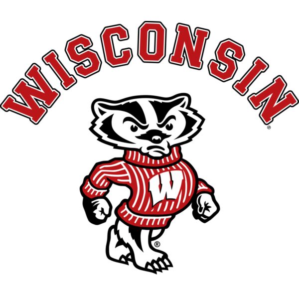 GoldCountry_Wisconsin_WI_YTH_ARCH_BUCKY_SS_11.25_102521 Grey Shirt Thumbnail