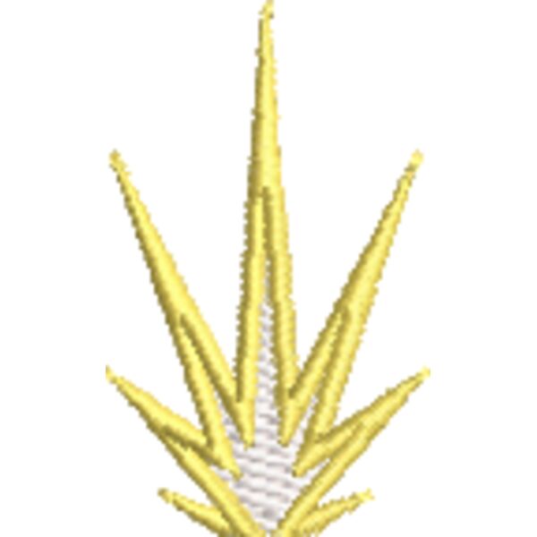 Steelworks Flame_Cap_3-10-22 Thumbnail