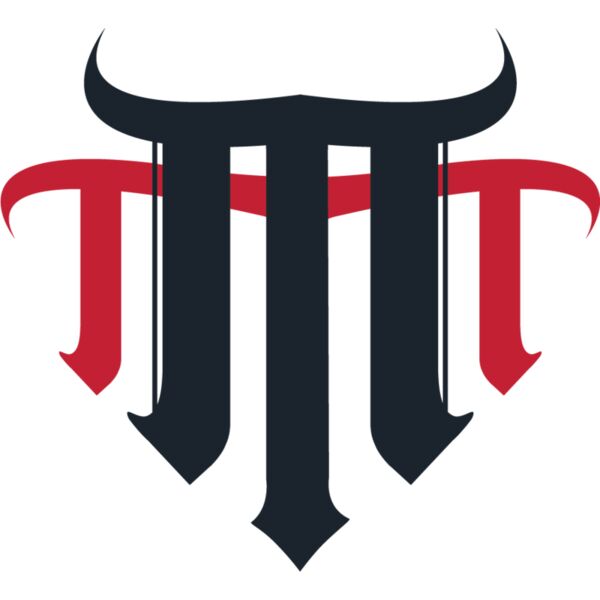 MNTopTeam_Logo_LS_3_12222 GREY Thumbnail