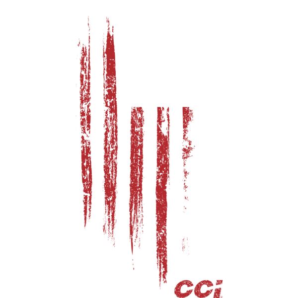 CCISpear_UnitedWeStand_8_6723 Thumbnail