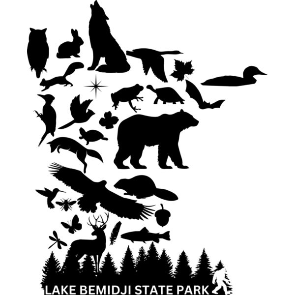 LakeBemidjiStatePark_AdultIcons_11_92823 Thumbnail