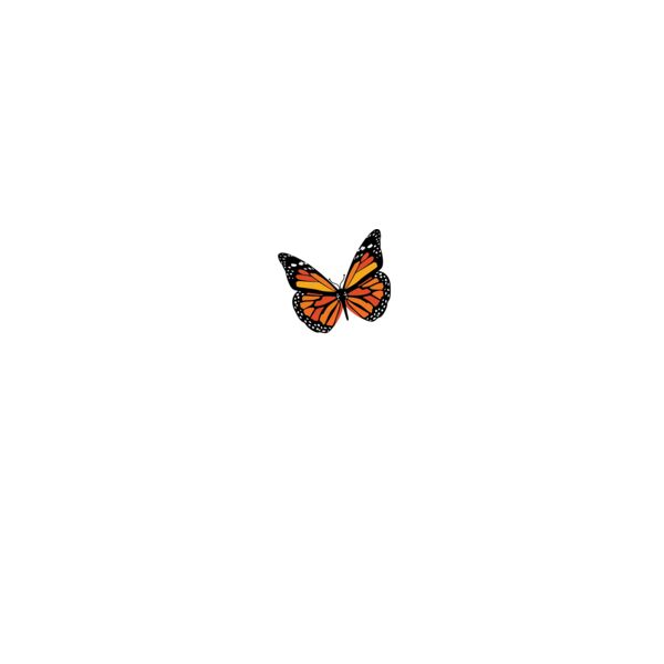 RuralPsychiatry_Butterfly_F_11_101323 Thumbnail