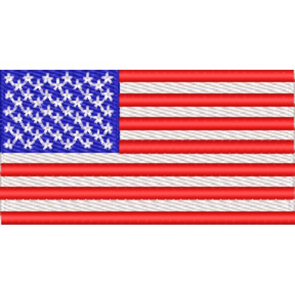 Bayshore Elite Gymnastics_US Flag_Sleeve_3_110723 Thumbnail