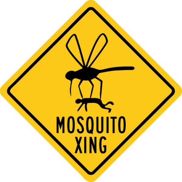 SignatureMinnesotaStore_MosquitoXing_9.6_112823 TRANSFER Thumbnail