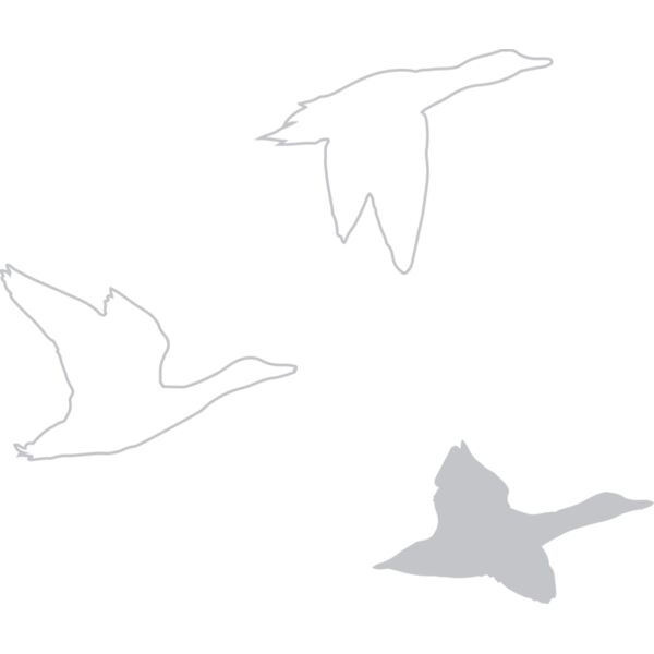 SignatureMinnesotaStore_MN104_GreyDuckTee Thumbnail