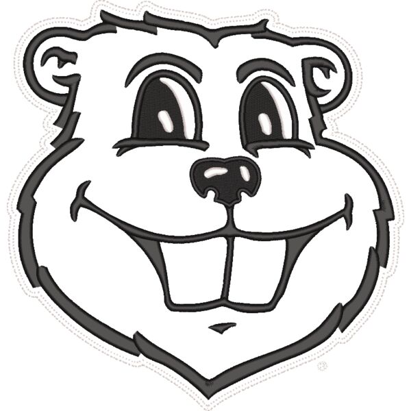 Gold Country_Minnesota_Goldy Head_Twill_8_121923 Thumbnail