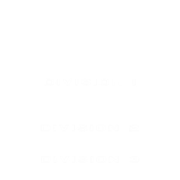 GoldCountry_Insignia_TeamBack_11.75_020224 Thumbnail