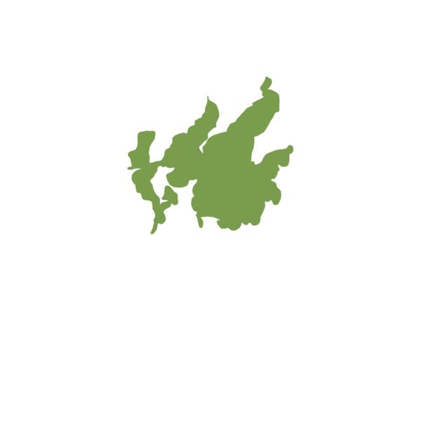 ChaseontheLake_FullColor_LC_3.5_42524 Thumbnail