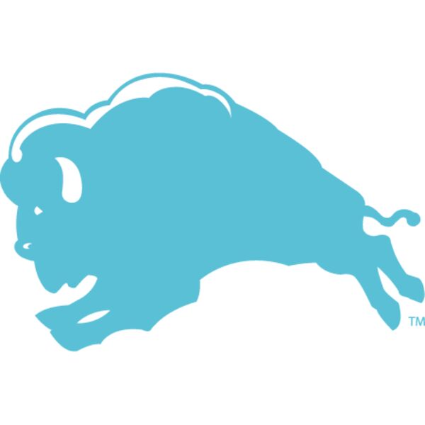 GeneralMills_BlueBuffalo_Logo_LeftChest_Trns_1.5_062124-01 Thumbnail