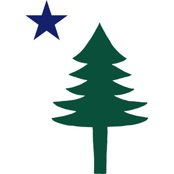 SaxonyImports_SL614-Main_Tree_5.5_121624 Thumbnail