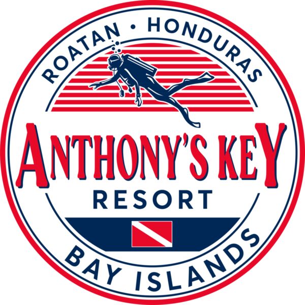 BahiaTours_RS298_8_011325 Thumbnail