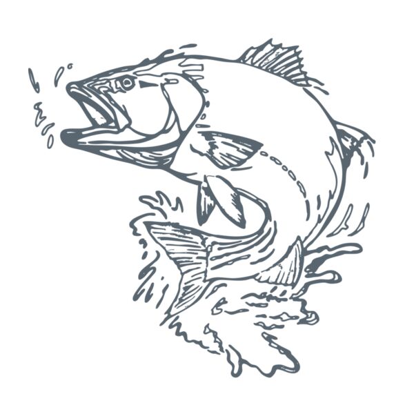 BalsamStore_RS312_10_022025 Thumbnail