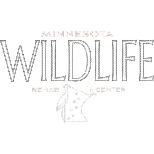 Wildlife Rehab Center of MN_Wildlife_RT183_Felt_12.5_042525 Thumbnail