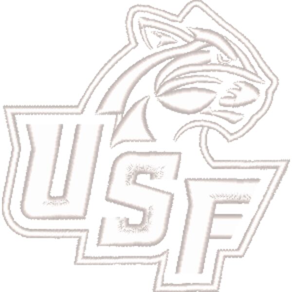 University of Sioux Falls_USF_RT171_Sleeve_3_052025 Thumbnail