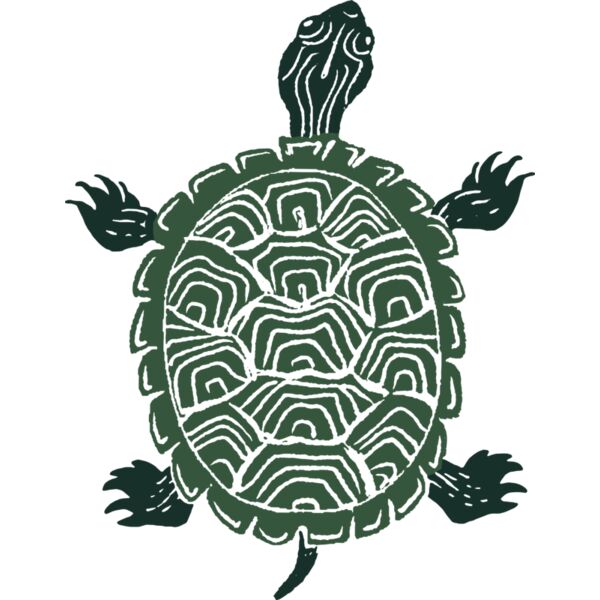 Anderson’sSouthShoreResort_Turtle_8_010226 Thumbnail