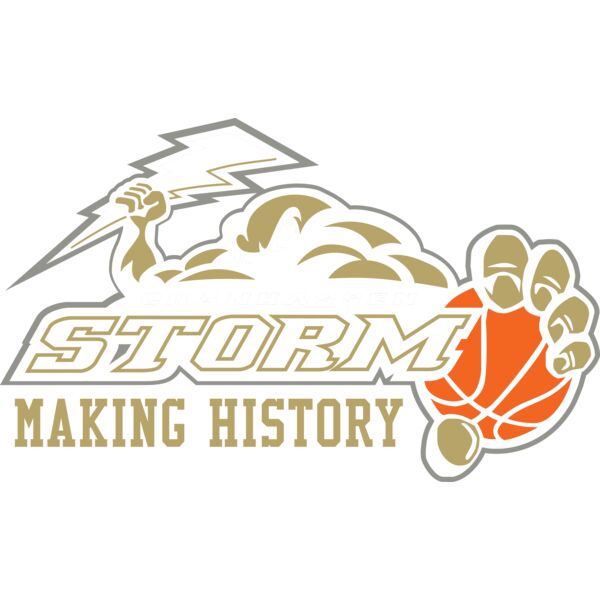 ChanhassenStorm_FanTee_11.75_030526 Thumbnail